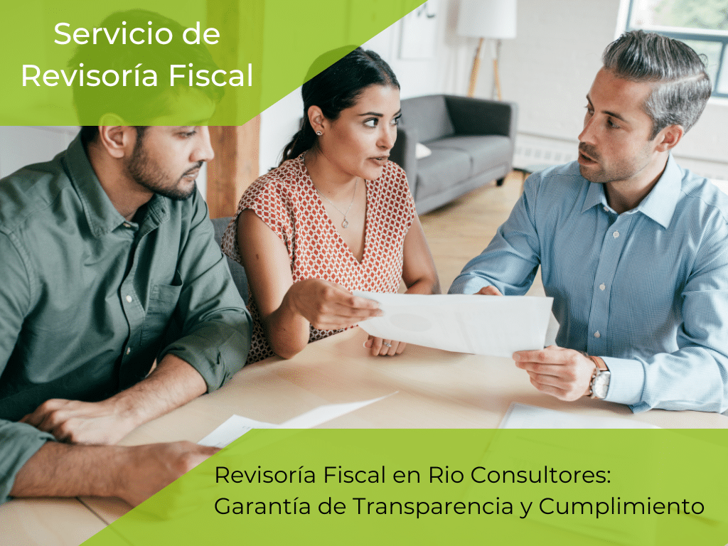 Servicio de Revisoría Fiscal